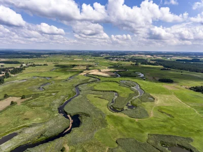 jesterio - W zeszłym roku ta wyglądał Biebrzański Park Narodowy podczas Flisa Obojga ...