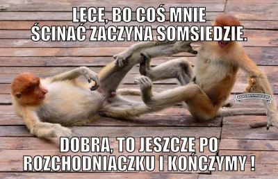 ArystotelesBaboola - #memy #nosaczsundajski #smieszneobrazki 
Siema, czy ktoś ma ten...