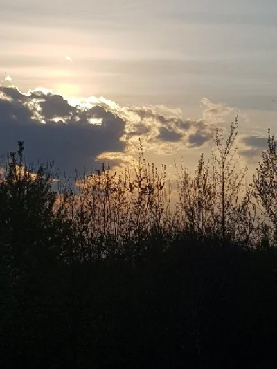 KochamCieRybo - Pan Pepuś zawsze czuwa nad nad nami wykopkami, tuż przy stópkach Pana...