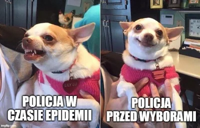 m.....y - #policja #wybory #polska #koronawirus