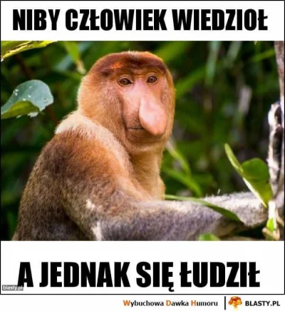 fan_comy - Będzie edycja internetowa, ale kto to widział pogo w internecie robić ( ͡°...