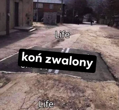 Kozikiewicz - #humorobrazkowy #przegryw #stulejacontent #heheszki #konzwalony