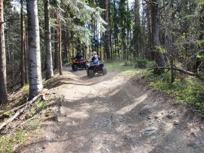 T.....r - Byłem w Beskidach w weekend. Na szlaku turystycznym mijało nas kilkadziesią...