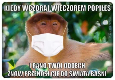galmok - #koronawirus #heheszki #polak