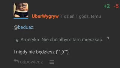 UberWygryw - Nie rozumiem, dlaczego Polaczki wpadają w szał kiedy piszesz im rzeczy o...