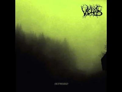 OvIce - Scream from the woods.

#blackmetal #atmosphericblackmetal #melancholicblac...