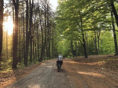 bartesn - A po pracy jeżdzę do lasu 

#motocykle #pokazmotor #ktm #wiosna #las