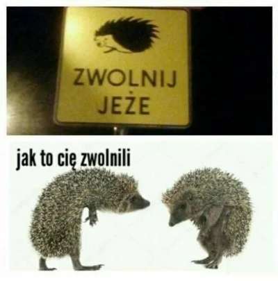 aksal89 - #heheszki #humorobrazkowy #byloaledobre #jeze