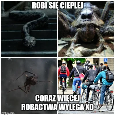 HarryJPotter_Official - #heheszki #humorobrazkowy #harrypotter #justharrythings #lato...