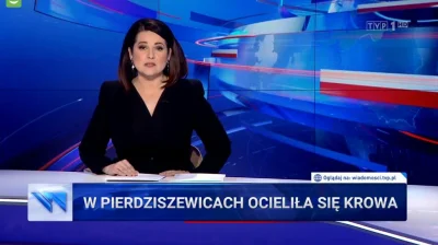 jaroty - Z cyklu jakimi pierdołami można przykryć inbę z OBWE ( ͡° ͜ʖ ͡°)

#tvpis #he...