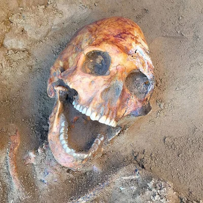 binuska - Rosyjski rolnik odkrył 2000-letni szkielet „śmiejącego się Sarmaty” - wojow...