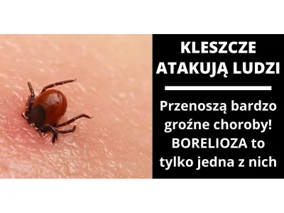 mlattari68 - PO MAJÓWCE MASOWE WYCIĄGANIE KLESZCZY!?

Kleszcze atakują i przenoszą ...