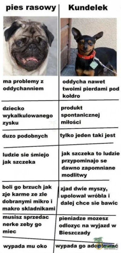 BureQ - ( ͡° ͜ʖ ͡°)

Źródło: https://oaza-memow.pl/m/meme_AQDkWfNmsNl9klJAxegNETwt0...