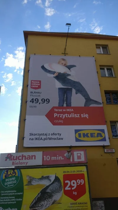 kennyskrrt - przytul blahaja (づ•﹏•)づ

#blahaj #rekin #ikea #wroclaw