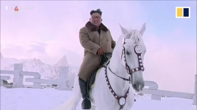 zwirz - I wtedy wkracza on, na białym koniu.
#heheszki #korea