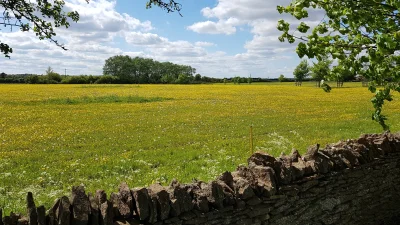 Asarhaddon - Niezły wypas, jeśli jest się krową.
#fotografia #oxfordshire