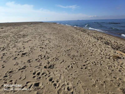 toldi_84 - Na plaży też pusto