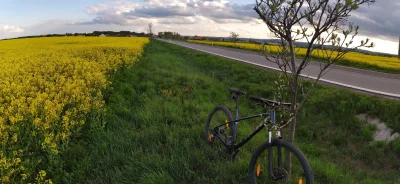 dudi-dudi - 3 maja.
30 km.
#rowery #rower #rowerujzwykopem #wycieczka #legnica