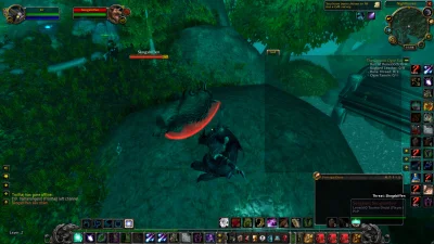 G.....n - jakis misio sie kolo mnie polozyl

#worldofwarcraft #wowclassic #druidbon...