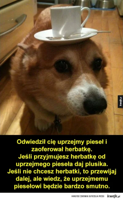 Jogi4 - #heheszki #humorobrazkowy #zwierzaczki #piesel