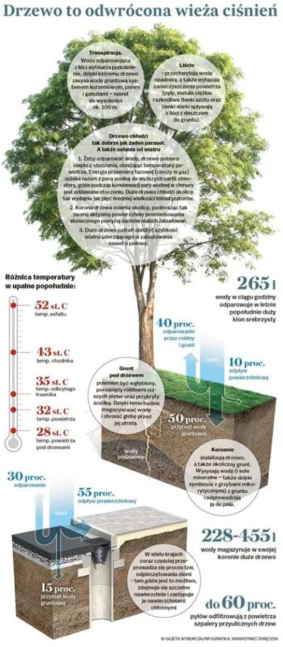 Lifelike - #graphsandmaps #przyroda #natura #drzewa #ciekawostki #infografika