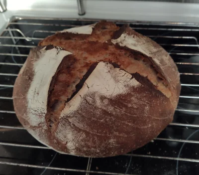 EerieAlligator - Mój drugi chleb na zakwasie, najsmaczniejszy i najładniejszy mojego ...
