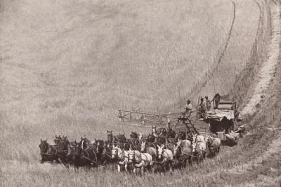 solimoes - 1902 #rolnictwo #mechanizacja