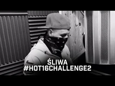 pestis - Śliwa 

#hot16challenge2 #hot16challenge