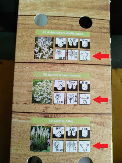 Niewiemja - Co znaczą te ostatnie oznaczenia na paczce z cebulkami? #ogrodnictwo #ros...