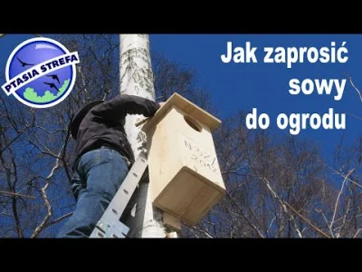 mikolaj-von-ventzlowski - Jak zaprosić sowę do ogrodu