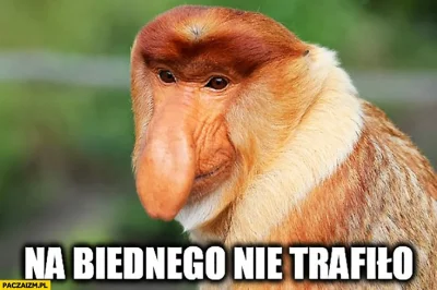 Pawel993 - Na biednego nie trafiło