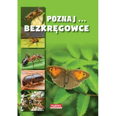 d.....0 - Wygląda jakby autentycznie zrobił pod siebie