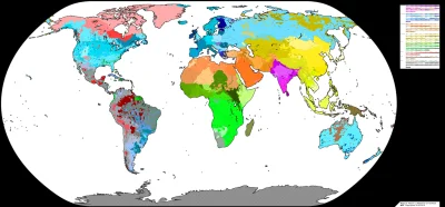 ziemba1 - Bardzo dokladna mapa grup etnicznych na swiecie 2019 
Uwaga bardzo duza ro...
