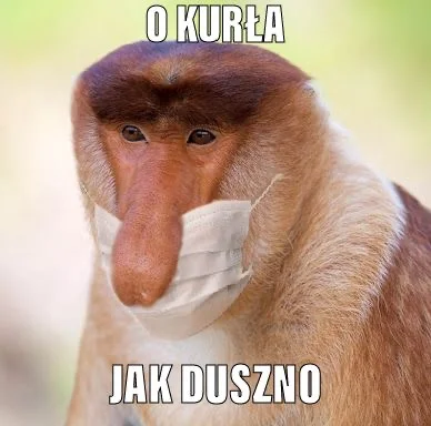 i.....e - #humorobrazkowy #janusze #bekazpodludzi #patologiazewsi #heheszki #koronawi...