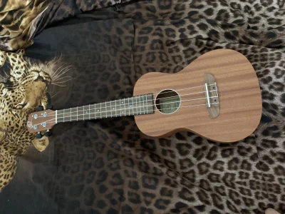 ortaliontrenera - Kupilem gitare, zajebiscie jest na maksa
#gitara #muzyka #rock