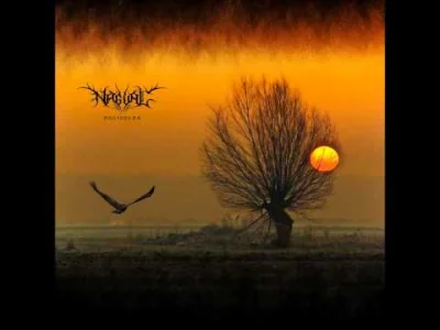 SzycheU - Nagual - Zgliszcza
#muzyka #blackmetal #polskiblackmetal #metal