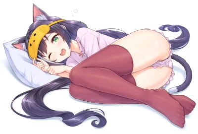 SirAves - #randomanimeshit #anime #nekomimi #kemonomimi #princessconnect #kyaru