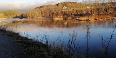 Sityek0998 - Jeszcze kilka dni i sezon na łososie, będzie grubo , nie mogę się doczek...