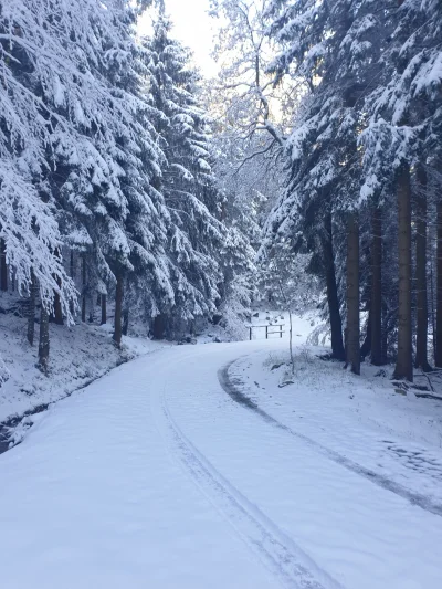 karkonosz - Karkonosze...