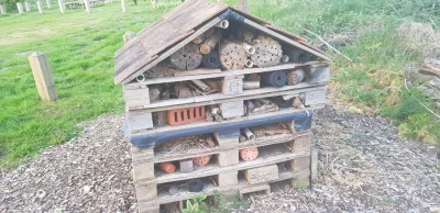 1950M - #ogrodnictwo #pszczoly #dzicyzapylacze takie domki widzialem podczas biegania...