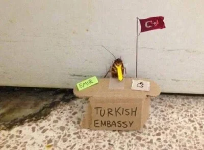 slabyslabek - @1950M ooo ambasada Turecka ( ͡° ͜ʖ ͡°)