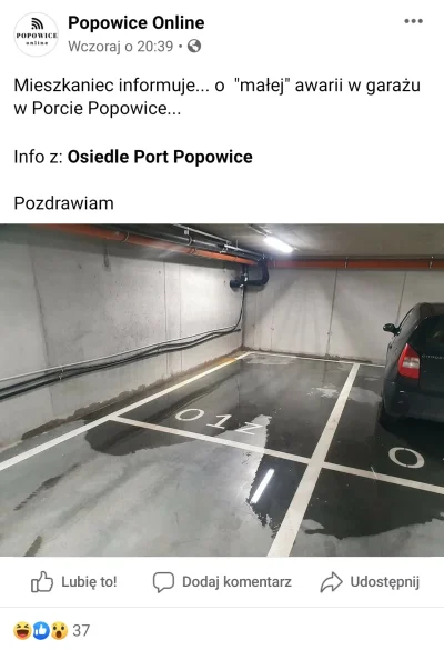 Reepo - Zbuduj osiedle na terenie zalewowym, upsss zalewa garaż xD No co mogło pójść ...