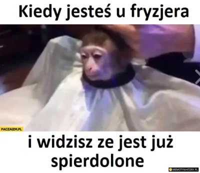 Jerry664 - @Blackpill_RAW Co tu się #!$%@?ło, to wygląda jakby było wycięte w Gimpie ...