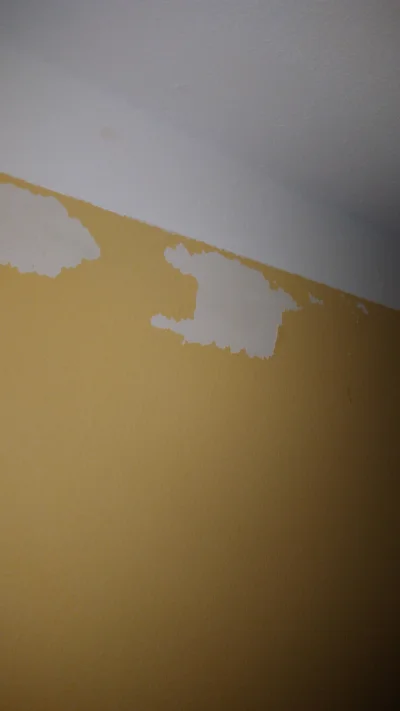 Perkusista008 - Mordki, maluję sufit i przy robieniu odcinki na ścianie stara farba z...