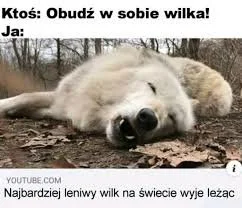 illa_a - #heheszki #humorobrazkowy