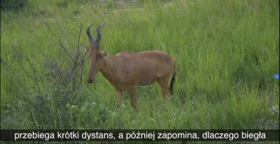 czandler_bing - Trochę jak ja z moimi marzeniami.

#bezplanu #przegryw