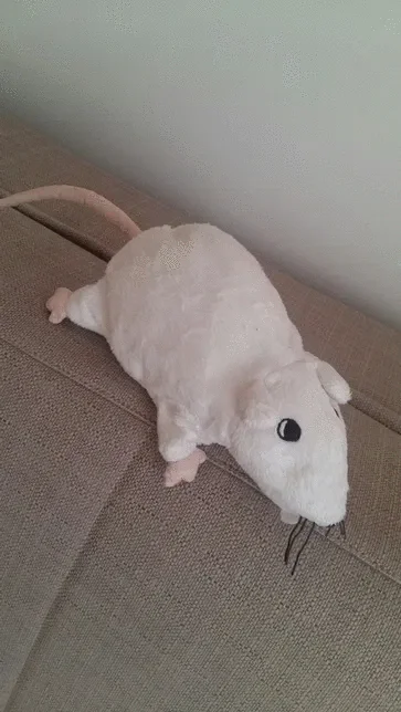 Sekk - Poszukuję maskotki białej Myszy ratta z Ikei jak na zdjęciu
Może ktoś miałby u...