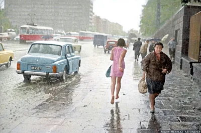 Misza - 1968
#warszawa