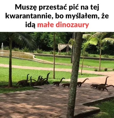 sinusik - #humorobrazkowy