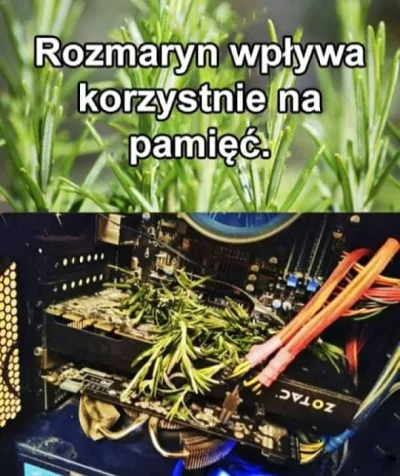 Arogancky - #heheszki #humorit #humorobrazkowy #humorinformatykow #rozmaryn